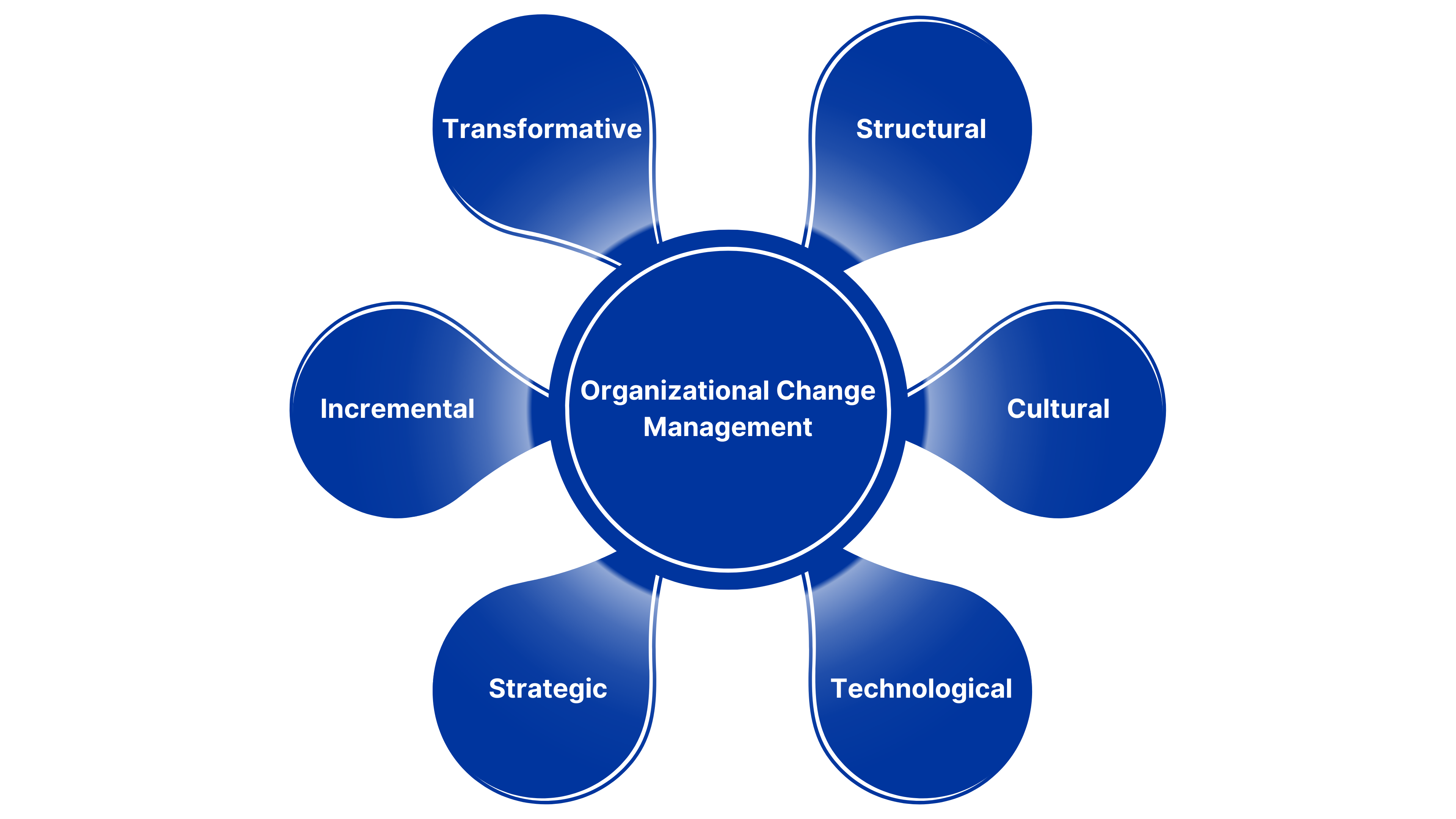 Organizational Change Management